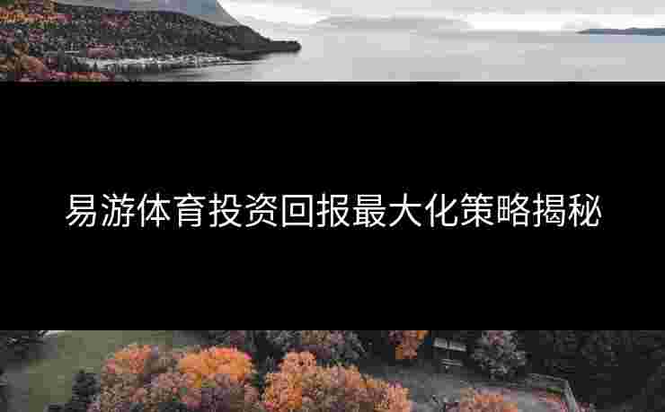 易游体育投资回报最大化策略揭秘